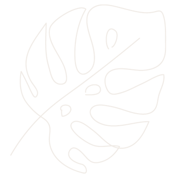 Offset Image