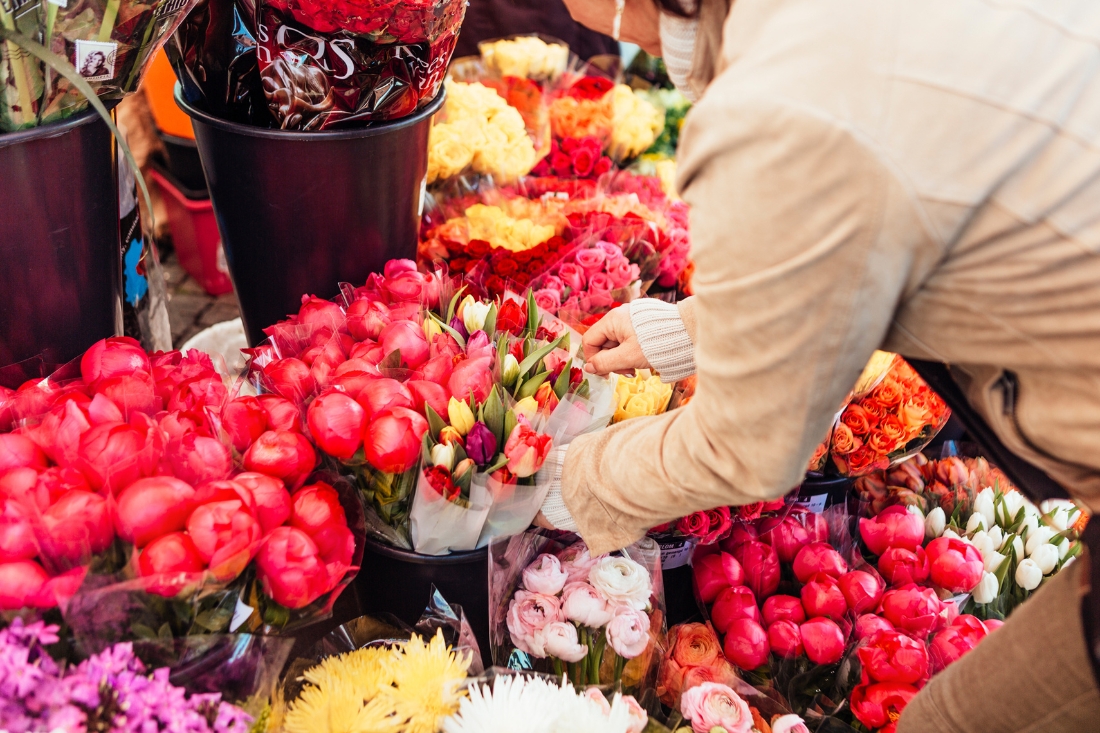 flowers at noosa farmers market