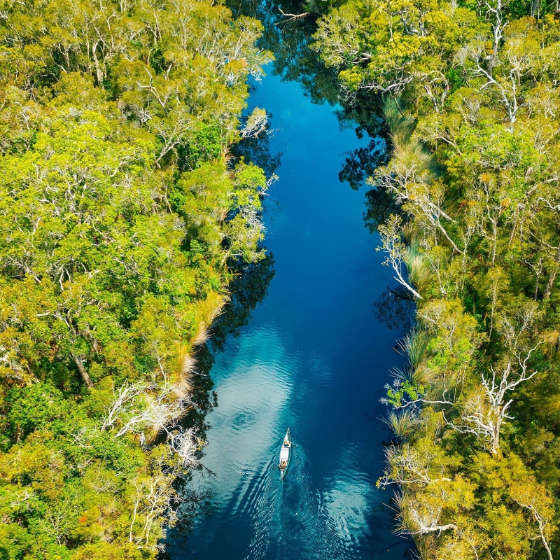 noosa everglades